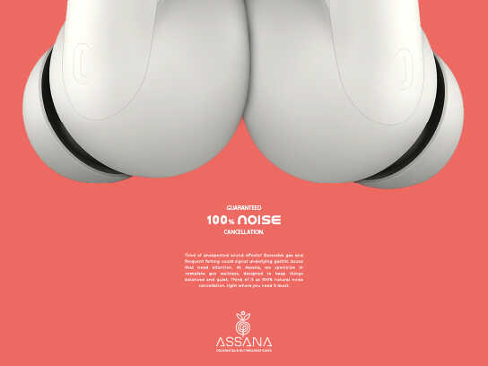 Guaranteed 100% Noise Cancellation.