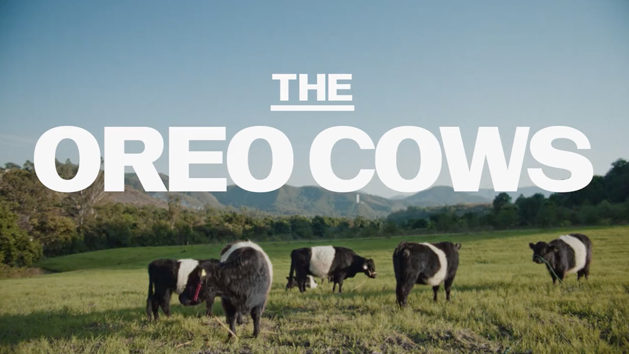 The OREO Cows Image