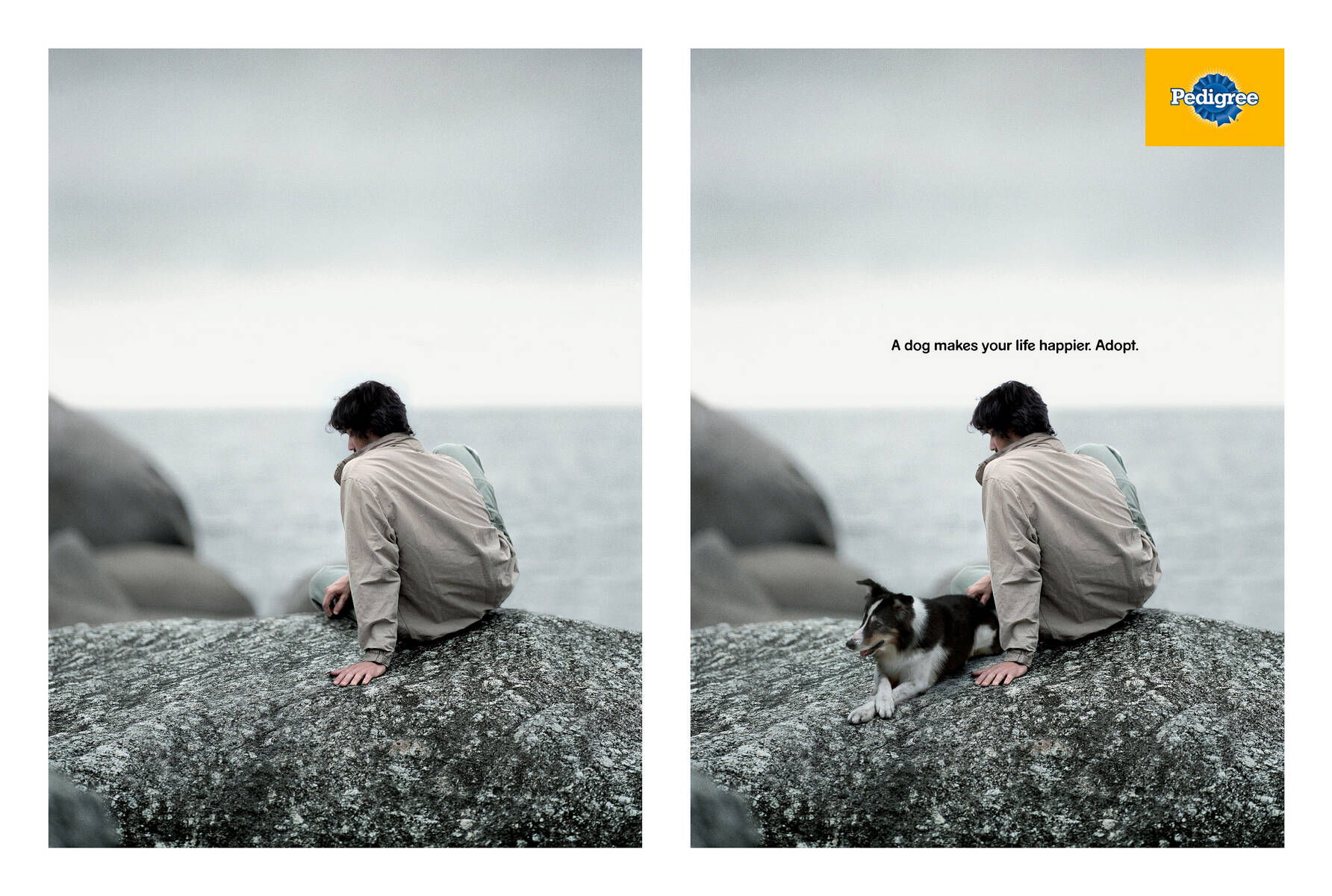 Pedigree: Dog. Ảnh: Ads of the World