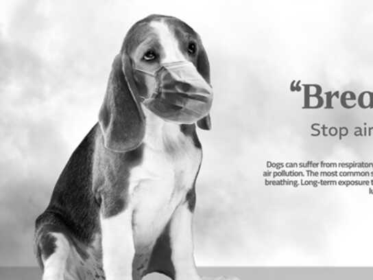 AIR POLLUTION CAMPAIGN