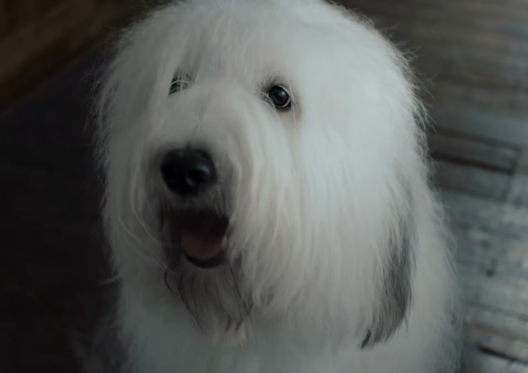 Life Is What You Paint It Image