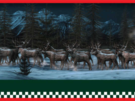Reindeer