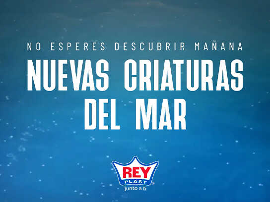 New creatures of the sea