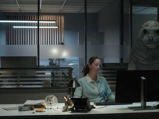 Check if it’s real, before you seal the deal