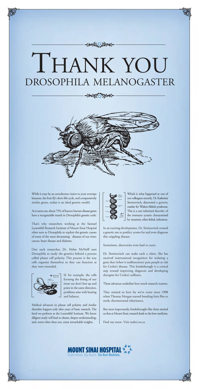 The Only Fly in the World, Part 1