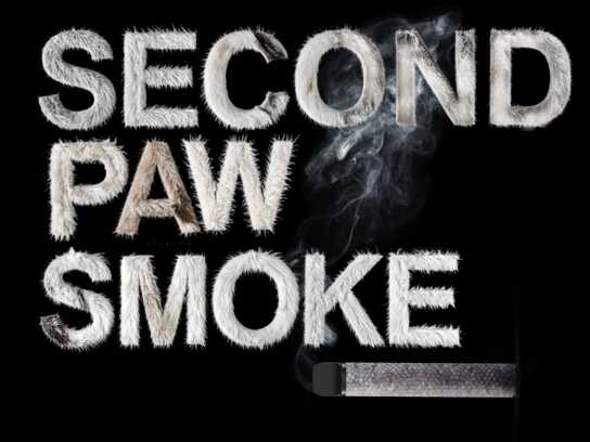 Second Paw Smoke