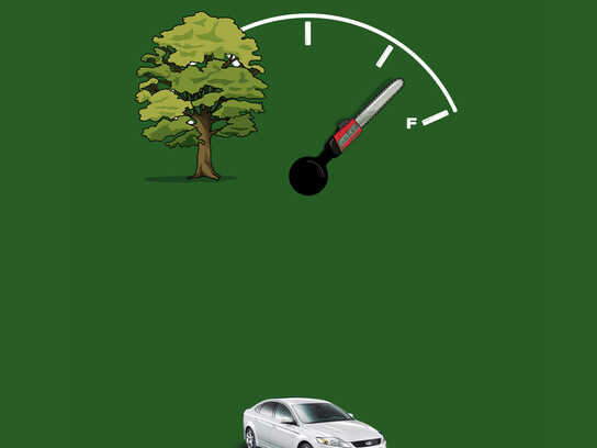 Tree, Panda, Penguins