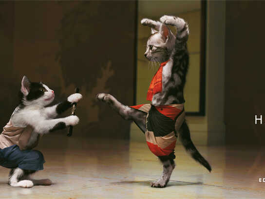 Karate catfight