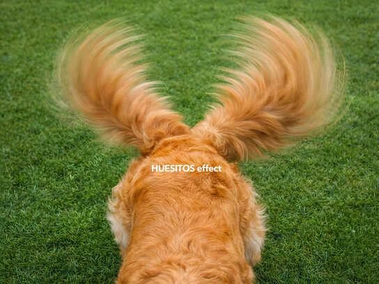 HUESITOS EFFECT