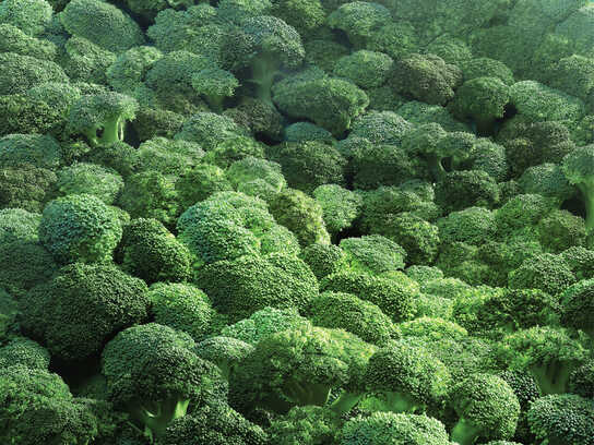 Broccoli