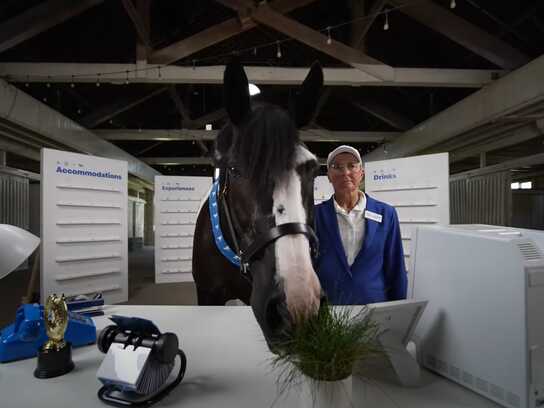 Neigh-I