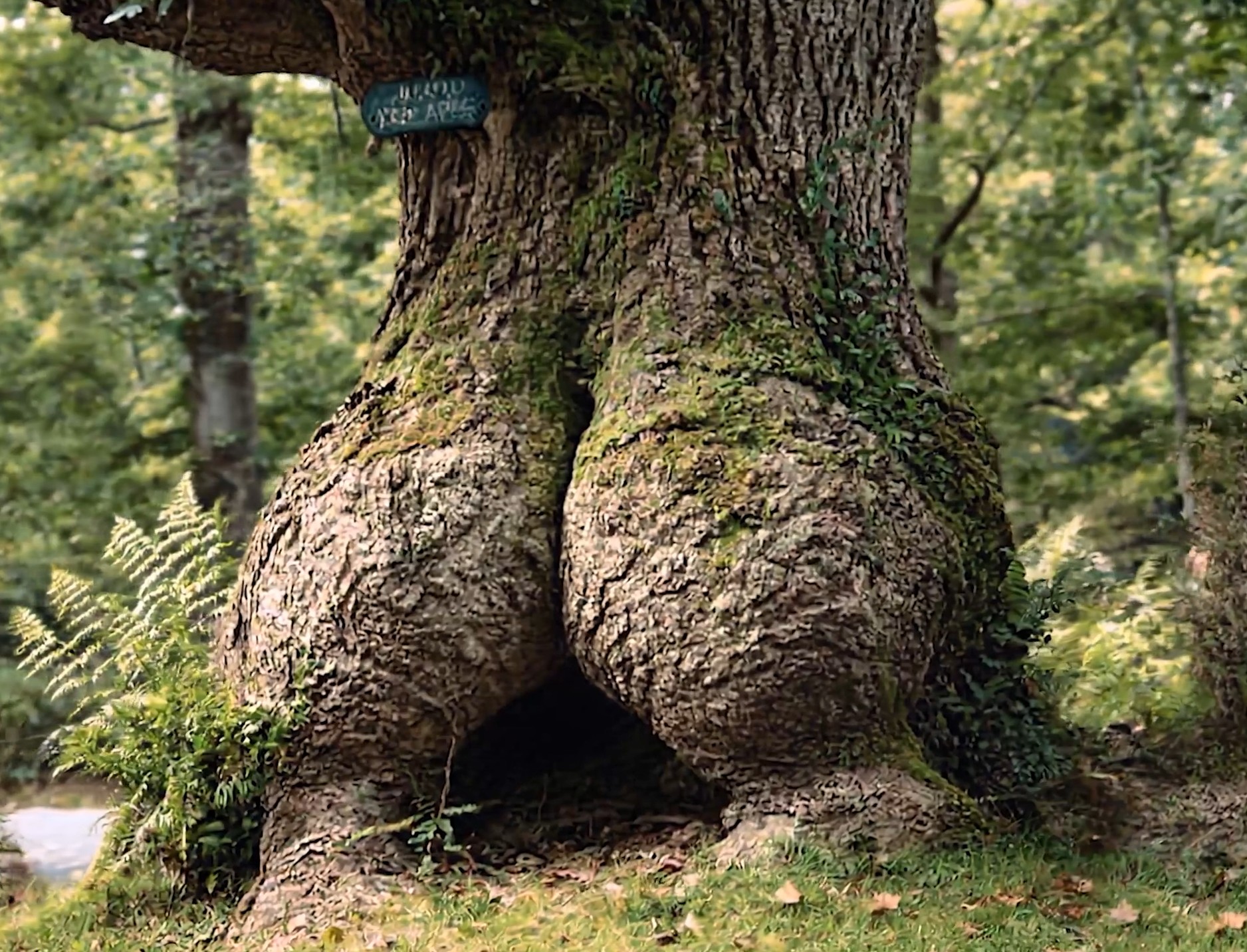 Colonoscopy Reminder Image