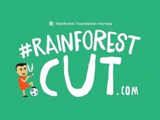 Rainforestcut.com