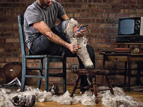 Sheep, Puppet, Face