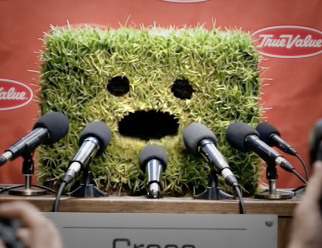 The Official Sponsor of Grass Image