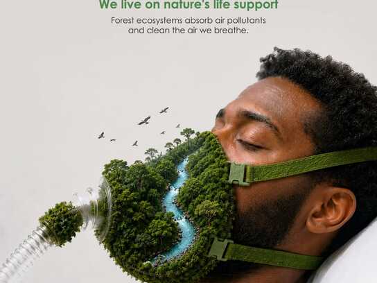  NATURE'S LIFE SUPPORT