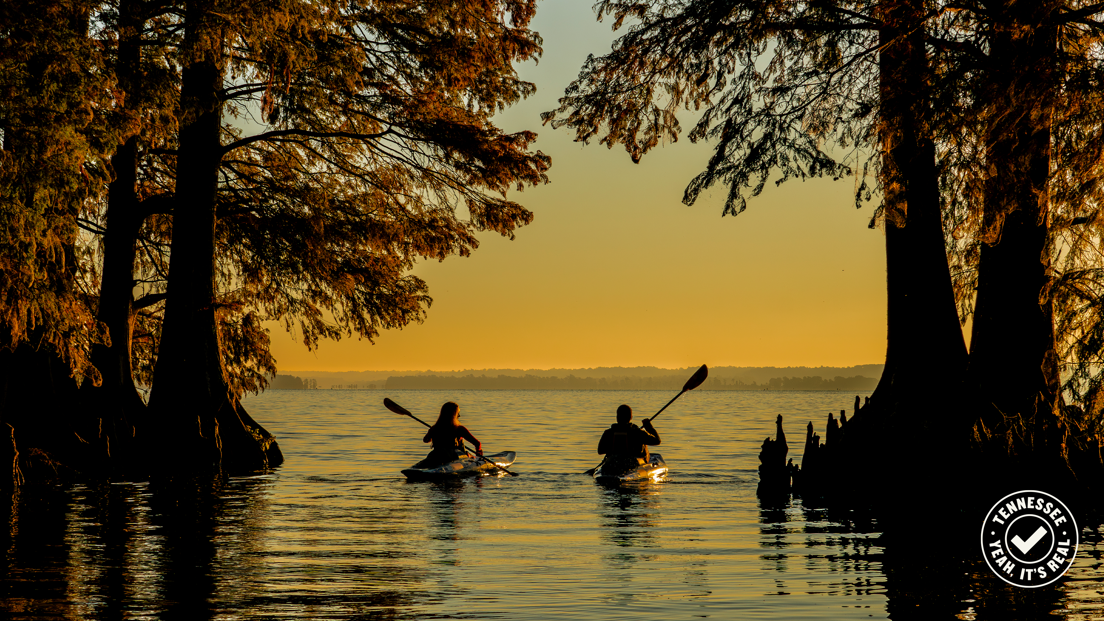  Tennessee Tourism “RealSeal” Campaign  Image