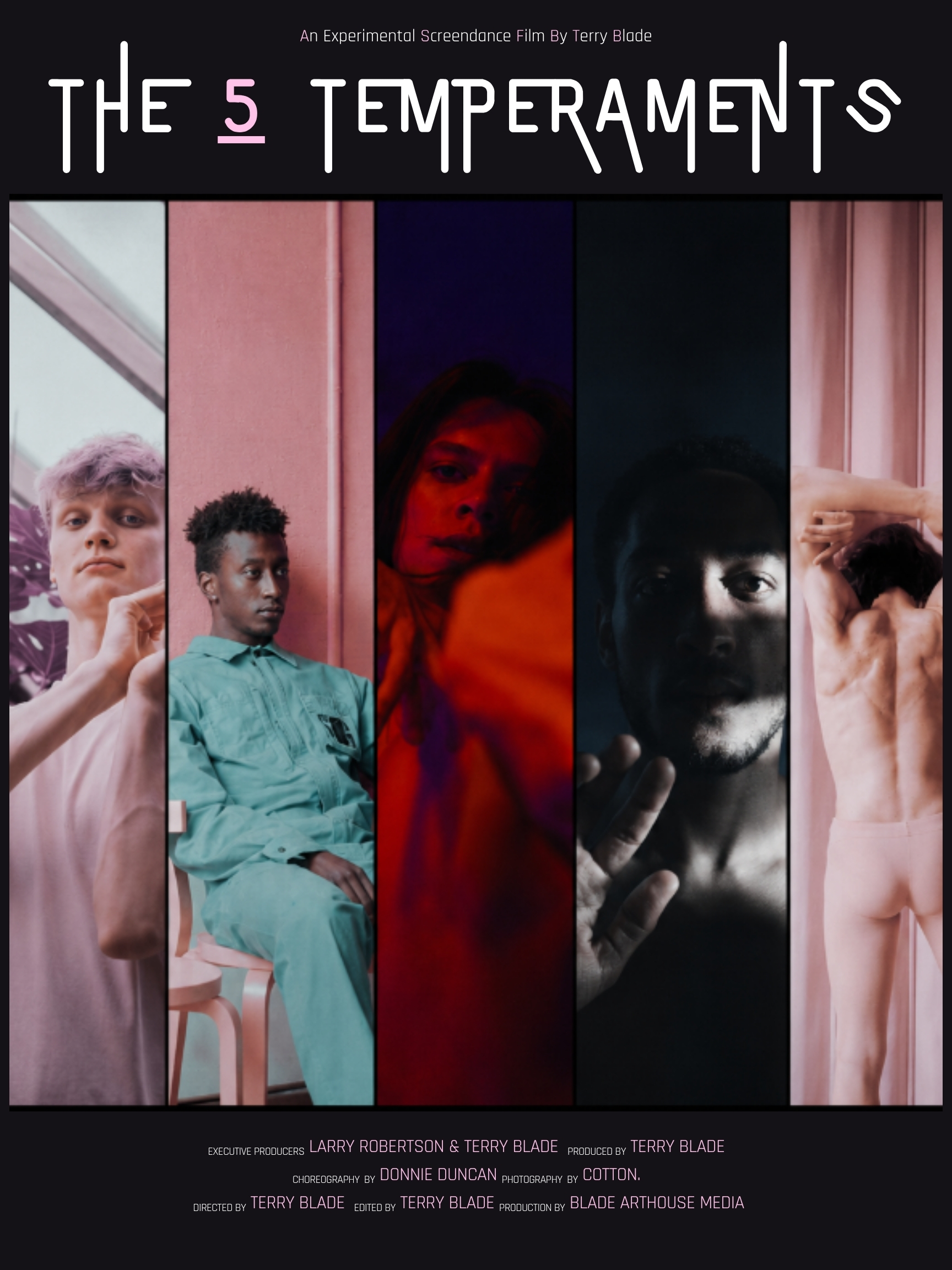 The 5 Temperaments Image