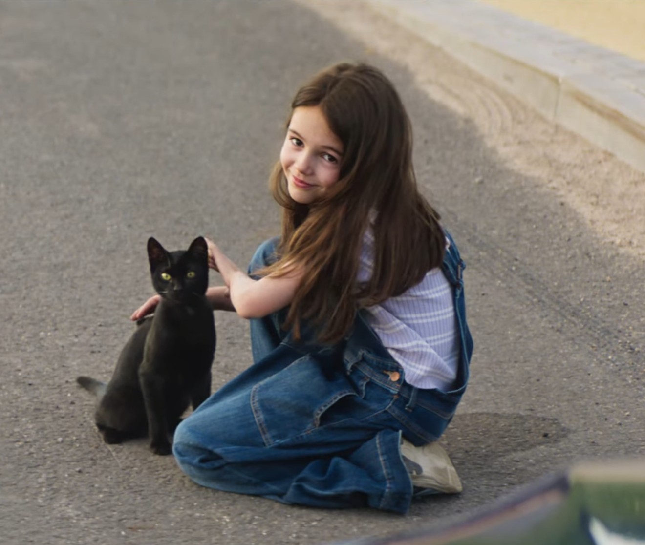 Black Cat Image