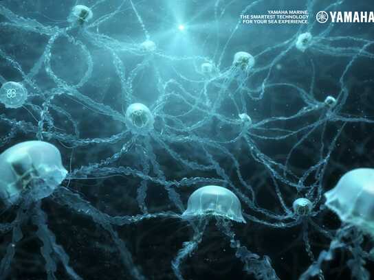 Neurons