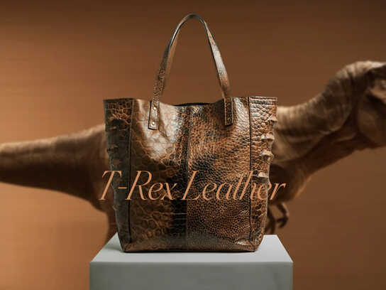 Lab Grown Leather (case study)