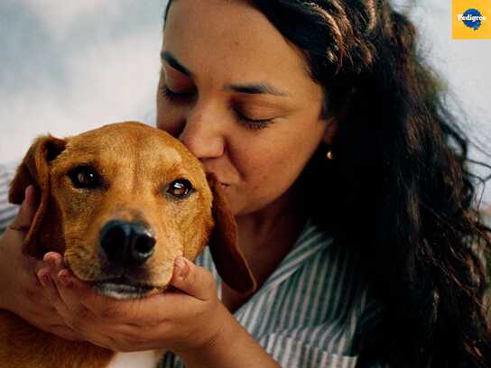 Melhor Amigo AI (Best Friend AI)