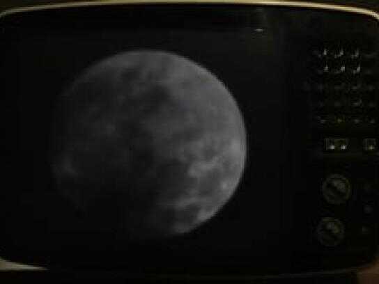 A month is a long time for a movie addict