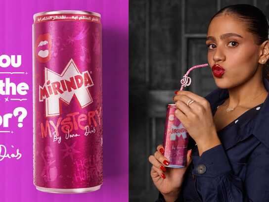 The Flavour Mystery  