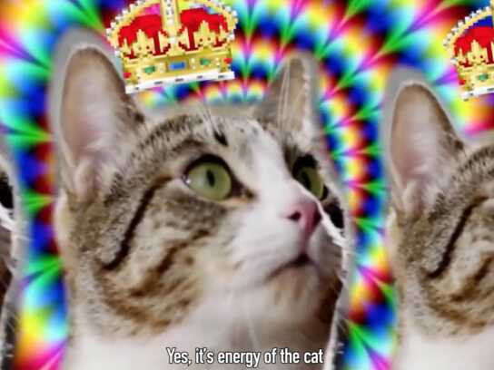 Yes, It's Cat Energy