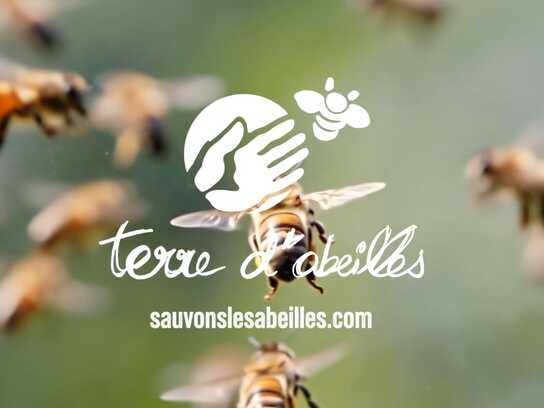 The Price of a World Without Bees
