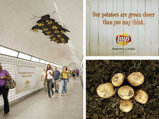 Potatoes Installation