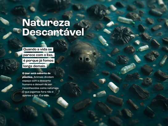Natureza Descartável