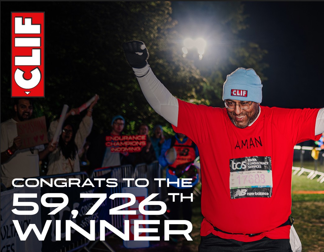 Final Finishers Image