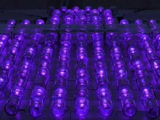 Bottle Light Poster