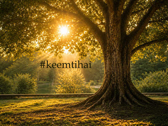 Keemti Hai