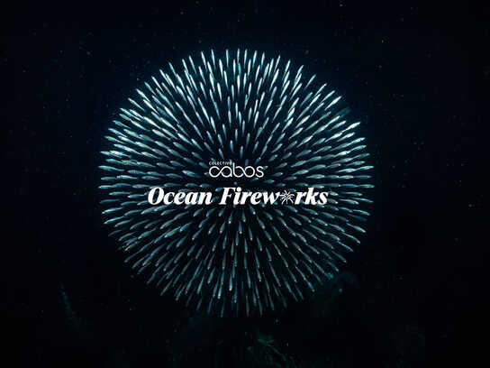 Ocean Fireworks