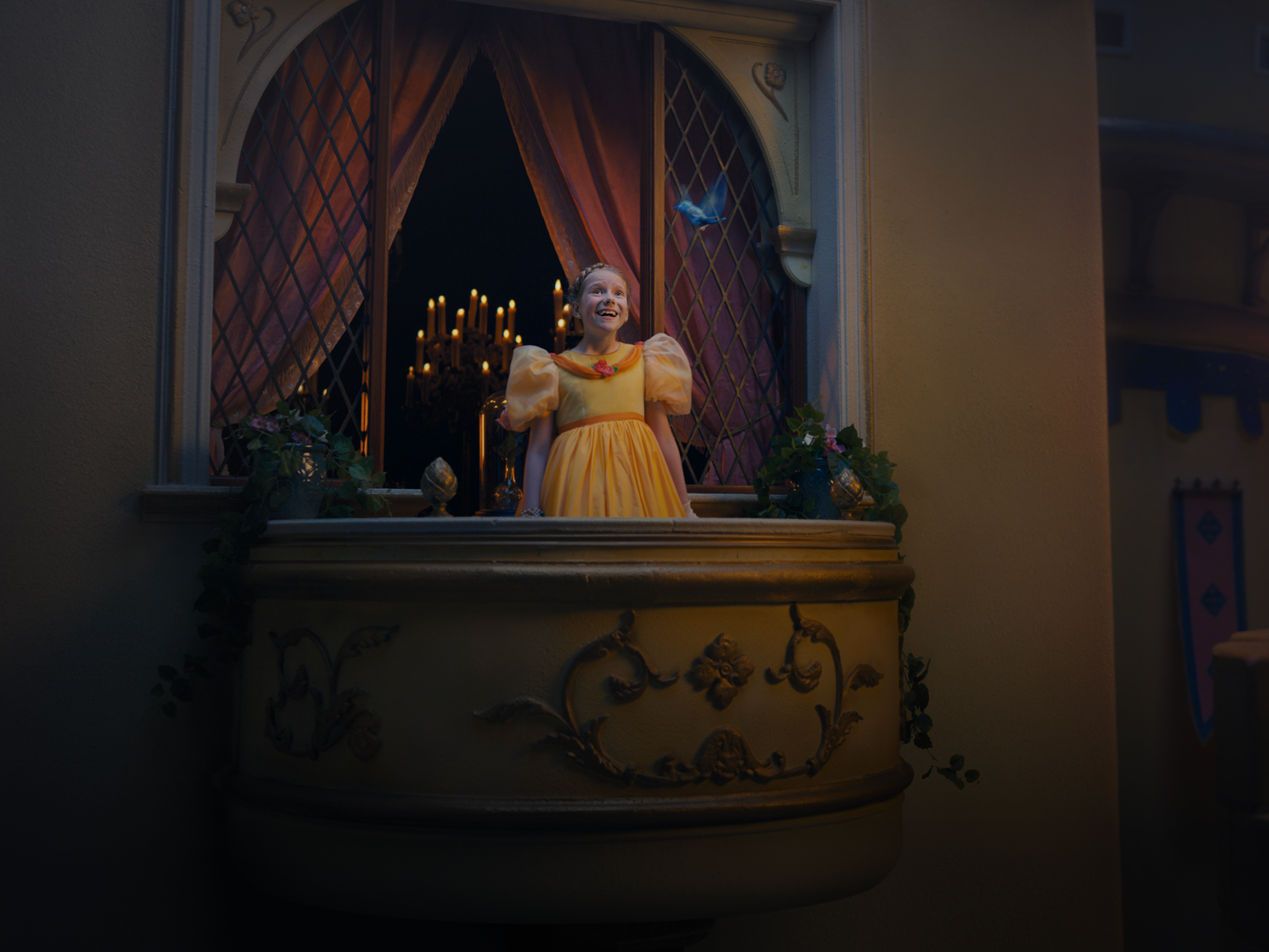 Once a Princess, Always a Princess: A Disney Short Image