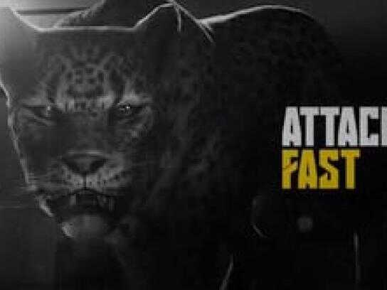 Different Animal. Same Beast.