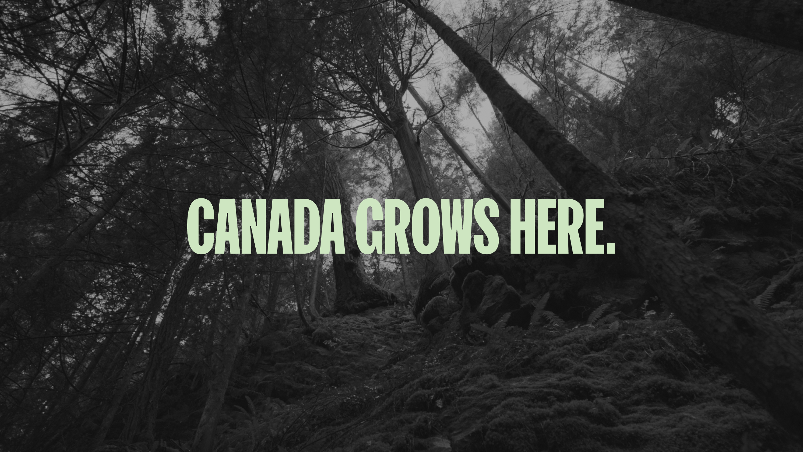 Canada Grows Here Image
