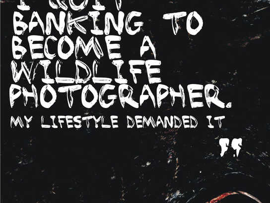 Wildlife photographer