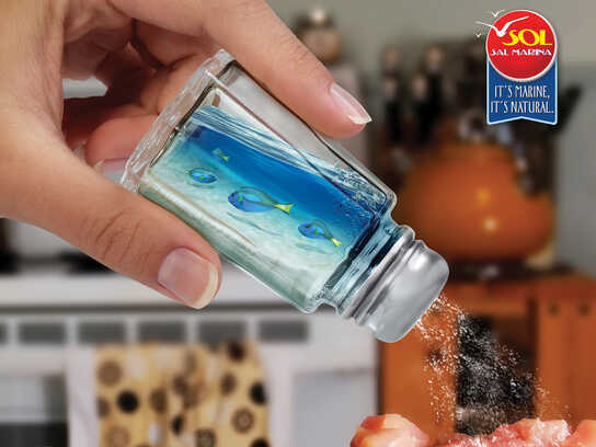 Fish, Jellyfish, Sea Coral