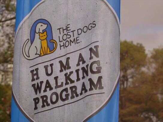 The human walking program