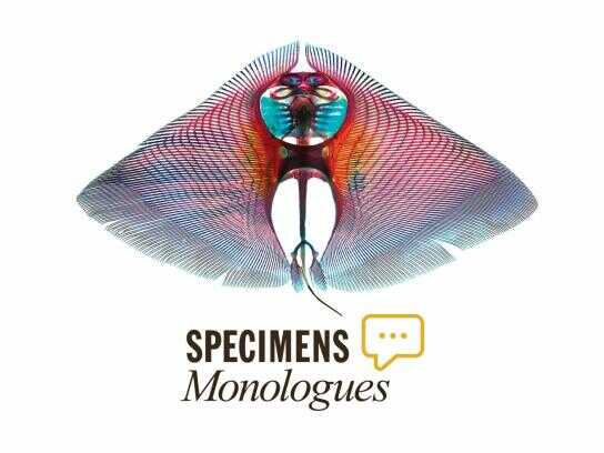 Specimen Monologues