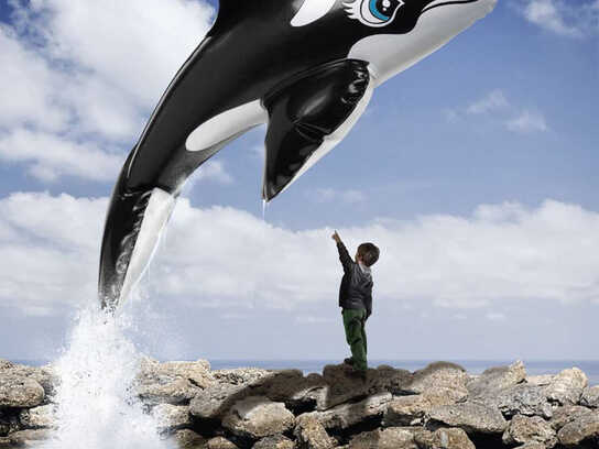 Free Willy