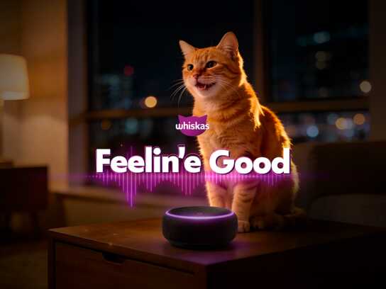 WHISKAS  FEELINÉ GOOD