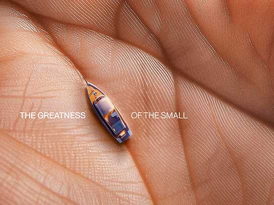 The Greatness of the Small