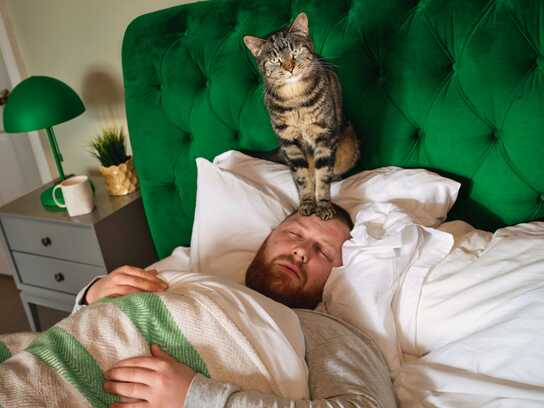 Celebrating Pet People