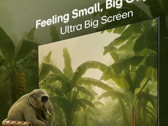 LG QNED Ultra Big Screen