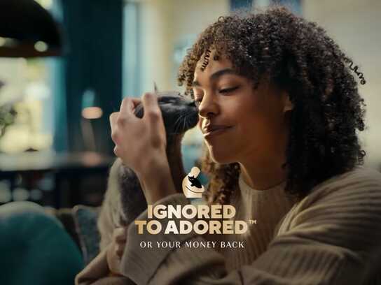 IGNORED TO ADORED