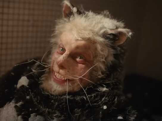  The Icelandic Yule Cat